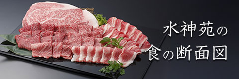 水神苑の食の断面図